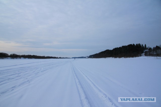 Цвет Зимы