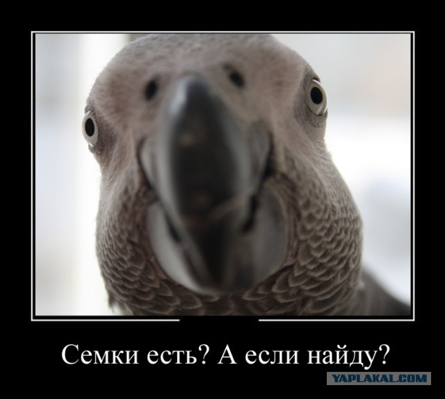 Проверка боем! Пытался как мог!
