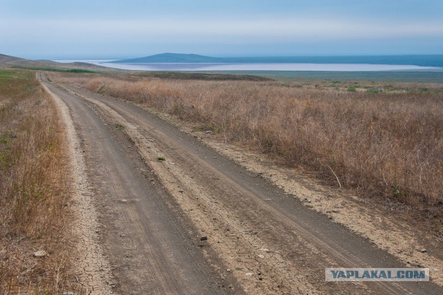 Отдых в Крыму 2014