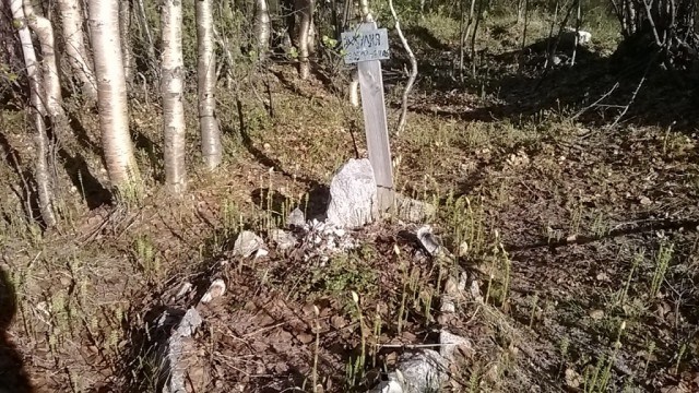 Кладбище домашних любимцев.