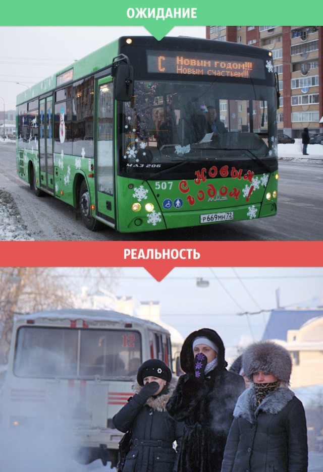 Зимние ожидание и реальность