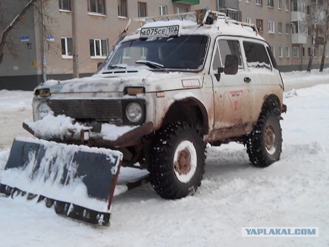 "Нива" и компания