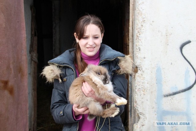 Хроники Тугезы: Деревня Стегримово, Смоленской обл