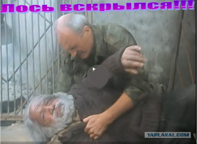 Знак не врет!