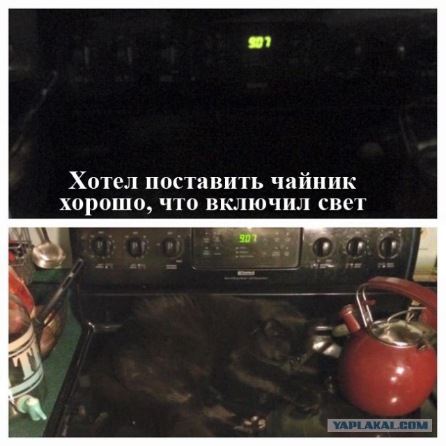 Картинки из инета
