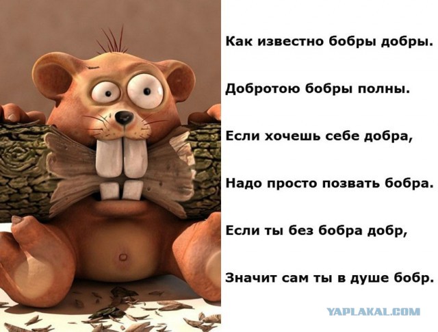 Плюшкиным посвящается
