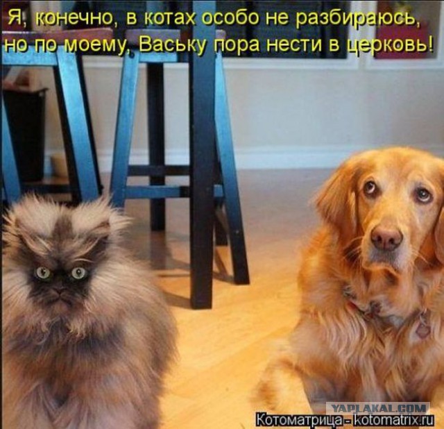 Наркоманский юмор