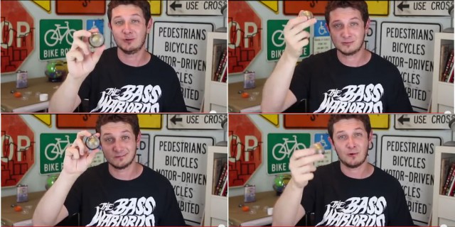 Сохранённый в смоле одуванчик