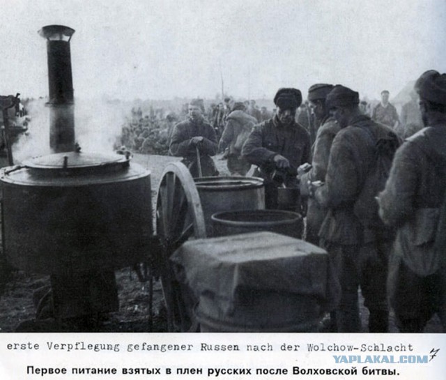 Фото с мест Волховской битвы (Вермахт)