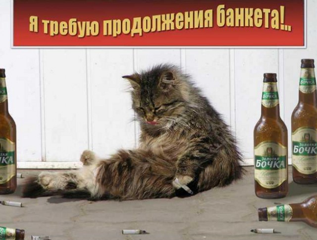 У меня грустные новости для соЯПовца. Слава Новиков тут есть?