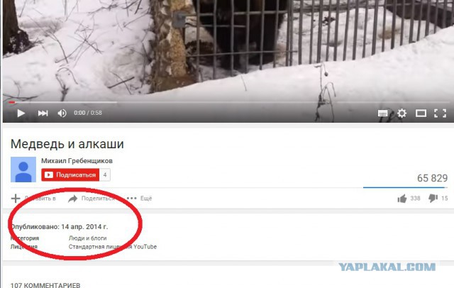 Медведь и алкаши