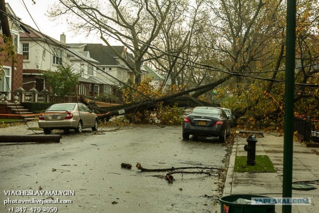 Ураган Сэнди. Конец Света начинается с США?