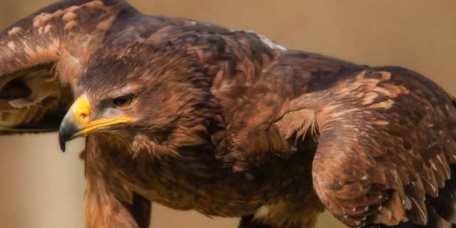 Подборка картинок 04.03.16