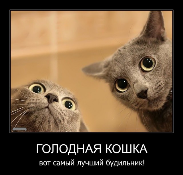 Для Поднятия Настроения - 6