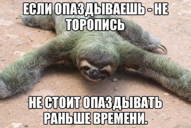 Подборка картинок с просторов...