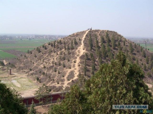 Пора вари... валить бетон! "Альты", шах и мат!