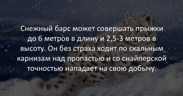 40 интересных фактов в картинках.