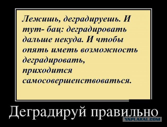 Адовый трэш и идиотизм со всей Галактики