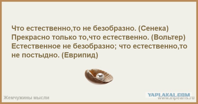 Бздячая моя любовь