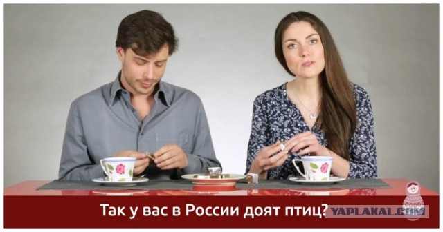 Итальянцы пробуют русские закуски к пиву