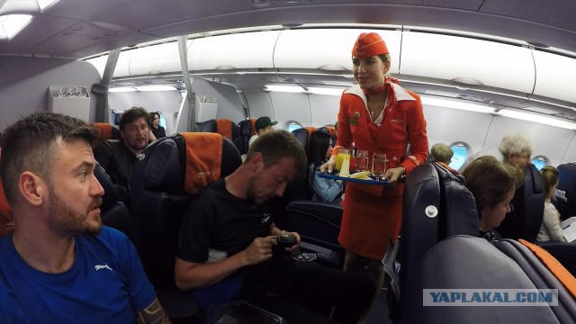 План на субботу: пробежать 100 км из Калининграда в Клайпеду по Куршской косе
