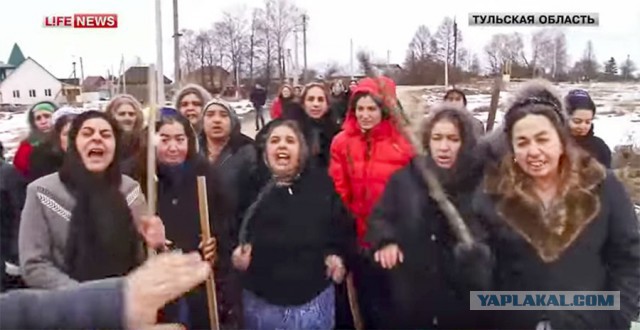 Ах. Этот прекрасный мир!