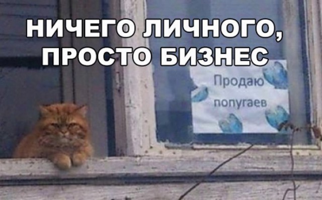 150 картинок для поднятия настроения!