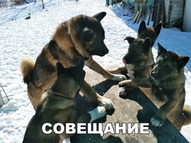 Нестандартный юмор