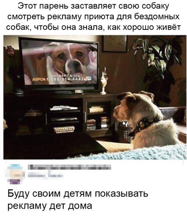 Картинки по-приколу