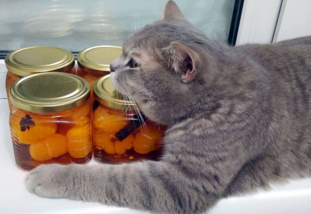 Пряные мандарины.