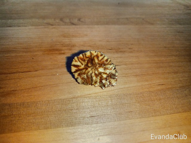 Сон в новогоднюю ночь