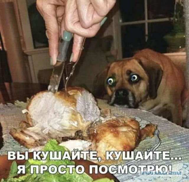 Подборка интересных и веселых картинок 17.03.19