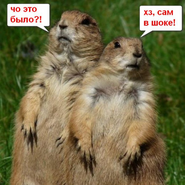 Выкорчёвывать пни? Легко!