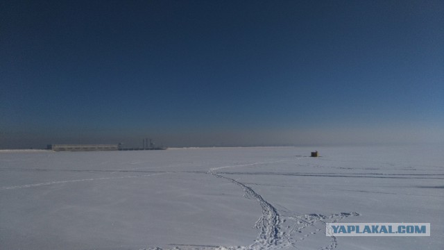 Зимний Новосибирск — 2019