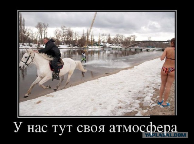 Немного картинок для настроения