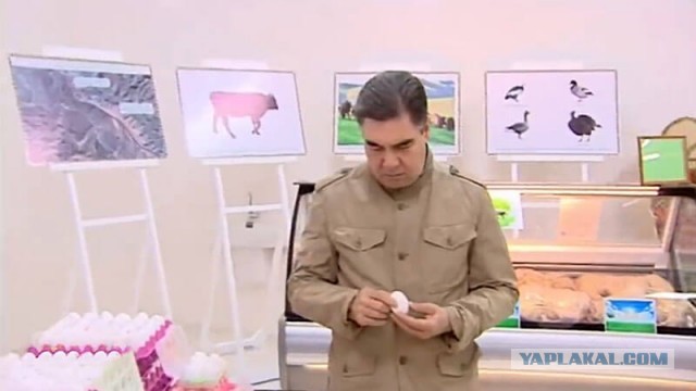 Ненавижу тебя, Гурбангулы Мяликгулыевич Бердымухамедов!