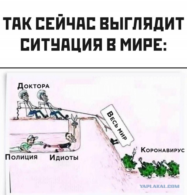А давайте всё-таки побудем недельку дома, а?