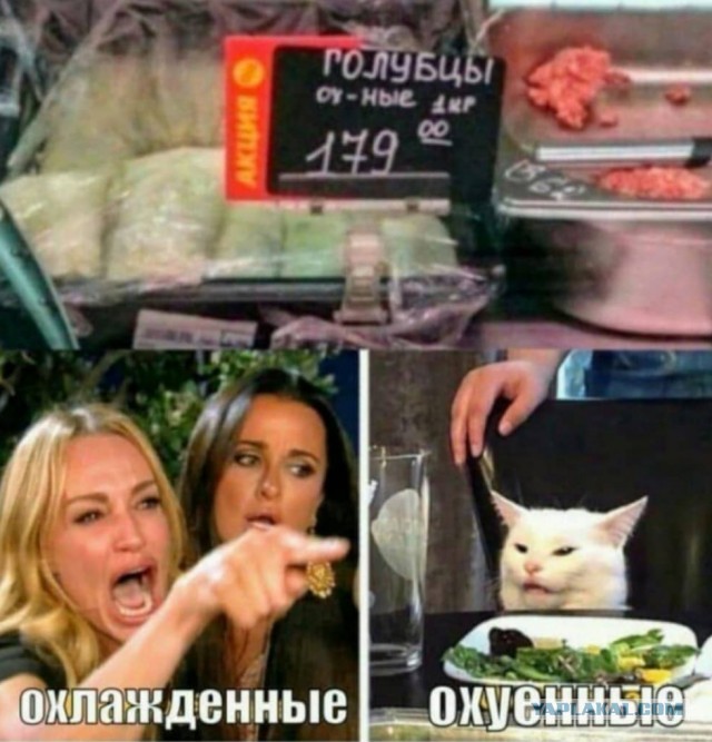 Картинки из рабочего чата 24.10