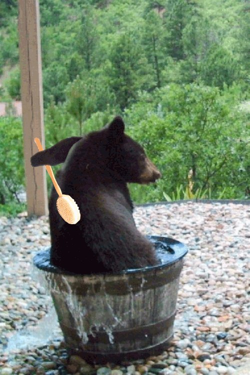 Фотожаба: Кто пил из бочки и все выпил?