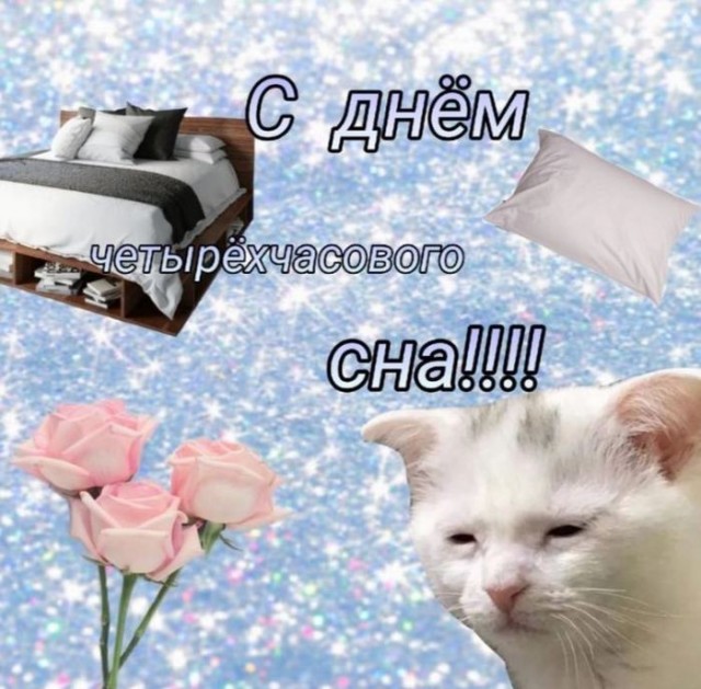 Фотки и картинки: юморные и красивые, забавные и милые 02.11.20