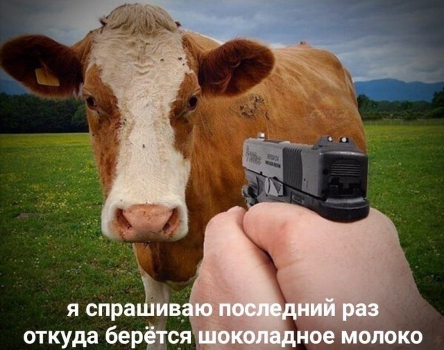 Чепухень на каждый день