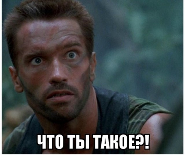 Картинка шварценеггер что ты такое