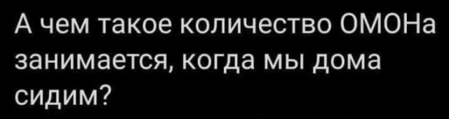 Суд над Навальным. Прямой эфир