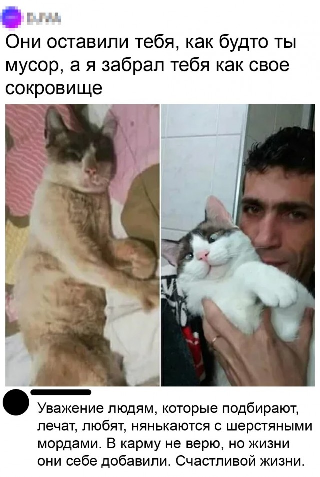 Картинки и мемы для настроения