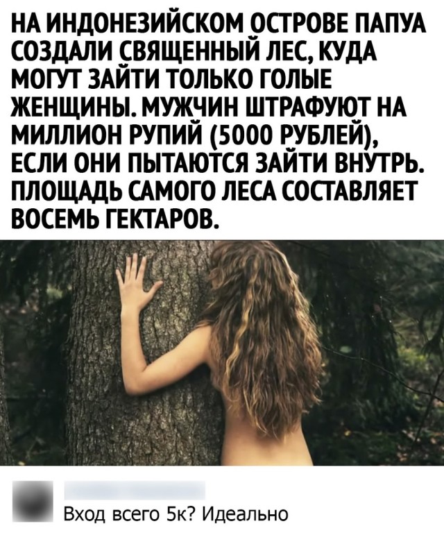 Так себе картинки 02.07.21