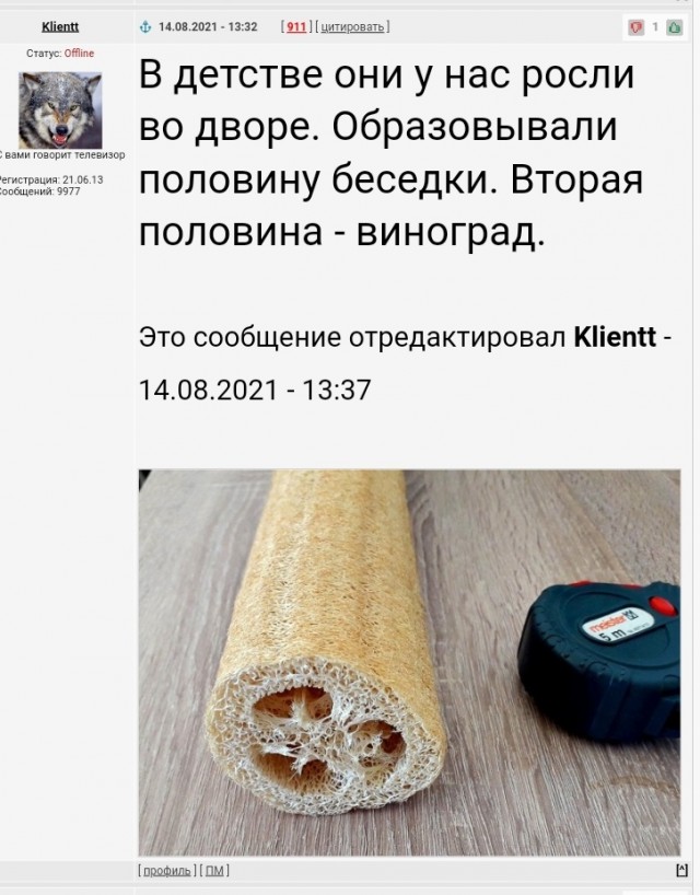 17 любопытных фотографий, которые дают ответ на вопрос «что будет если…»