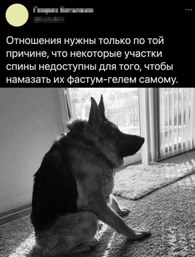 Картинки и мемы на все случаи жизни