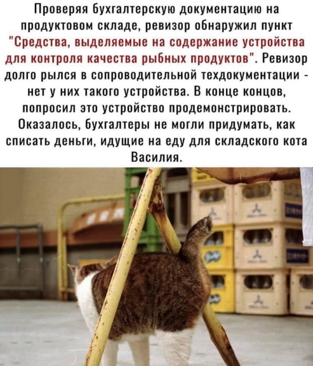 Выборы-дебаты