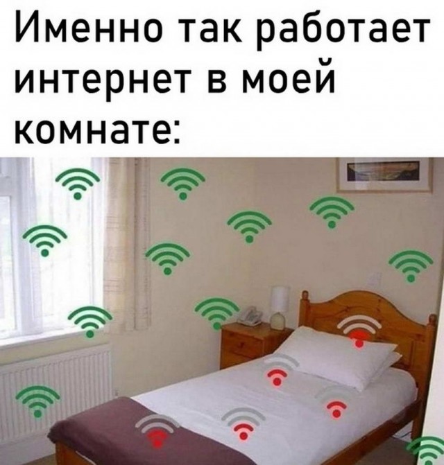 Картинки и мемы 08.10.2021
