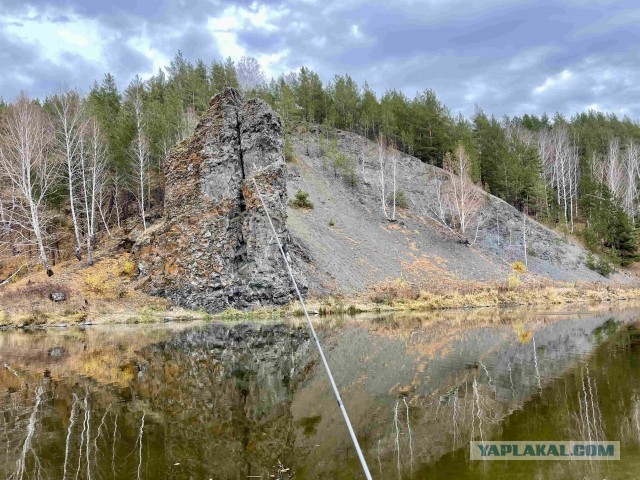Кулинарная общалка